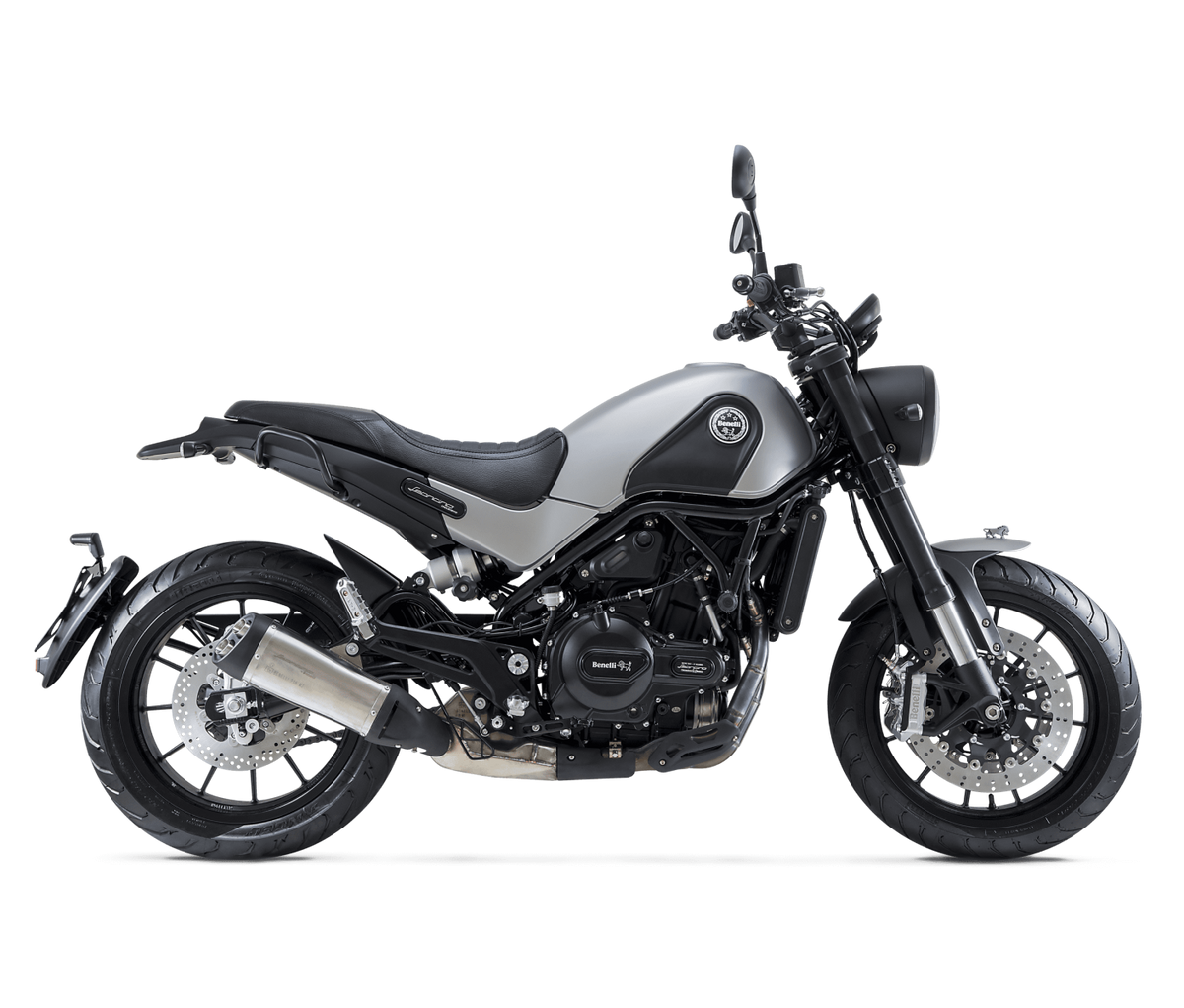 LEONCINO 500